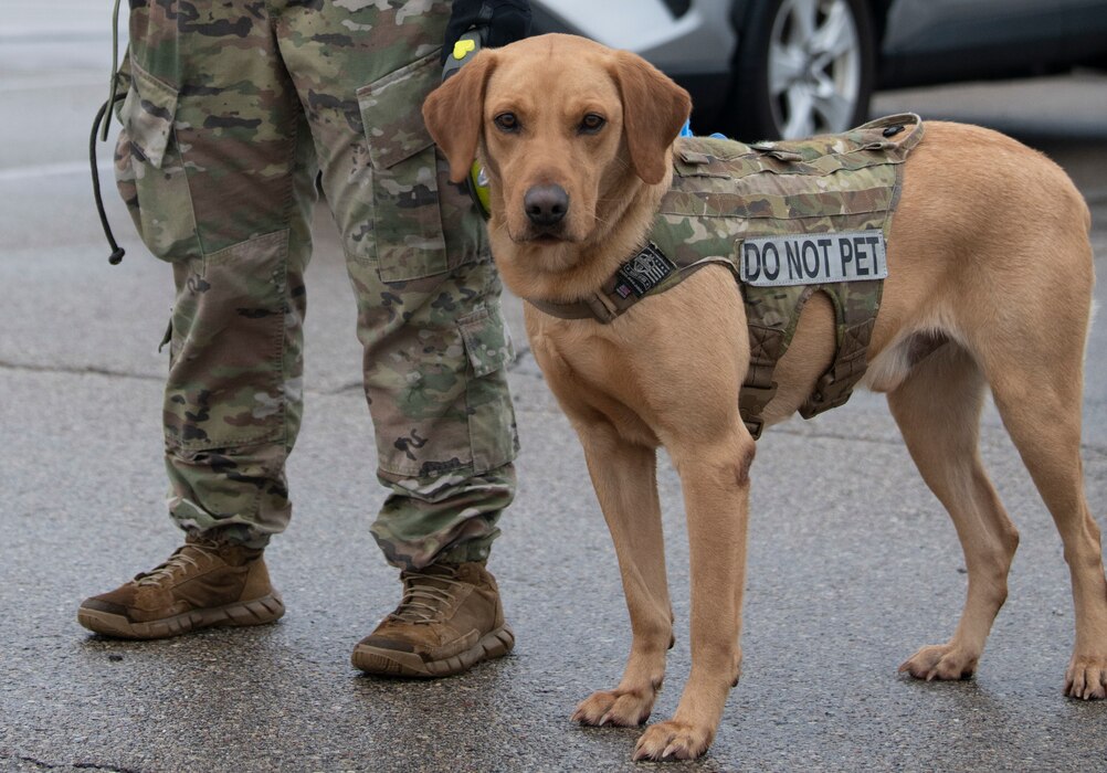 Military Working Dog Rango gets set for the K-9 Veterans Day Ruck on March 10, 2023, at Wright-Patterson Air Force Base, Ohio. This year’s march helped raise donations for a nonprofit organization to go toward those affected by the train derailment in East Palestine, Ohio.
