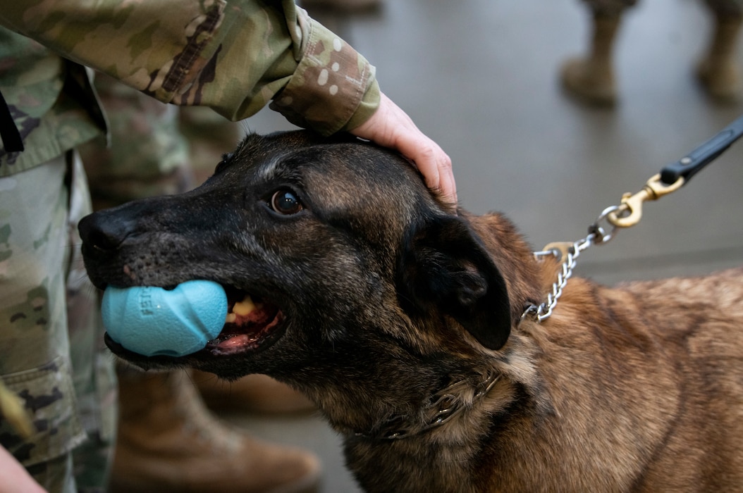 Retired Military Working Dog Uulster gets some love and cuddling before the start of the K-9 Veterans Day Ruck on March 10, 2023, at Wright-Patterson Air Force Base, Ohio. The ruck march helped raise donations for a nonprofit organization to go toward those affected by the train derailment in East Palestine, Ohio.