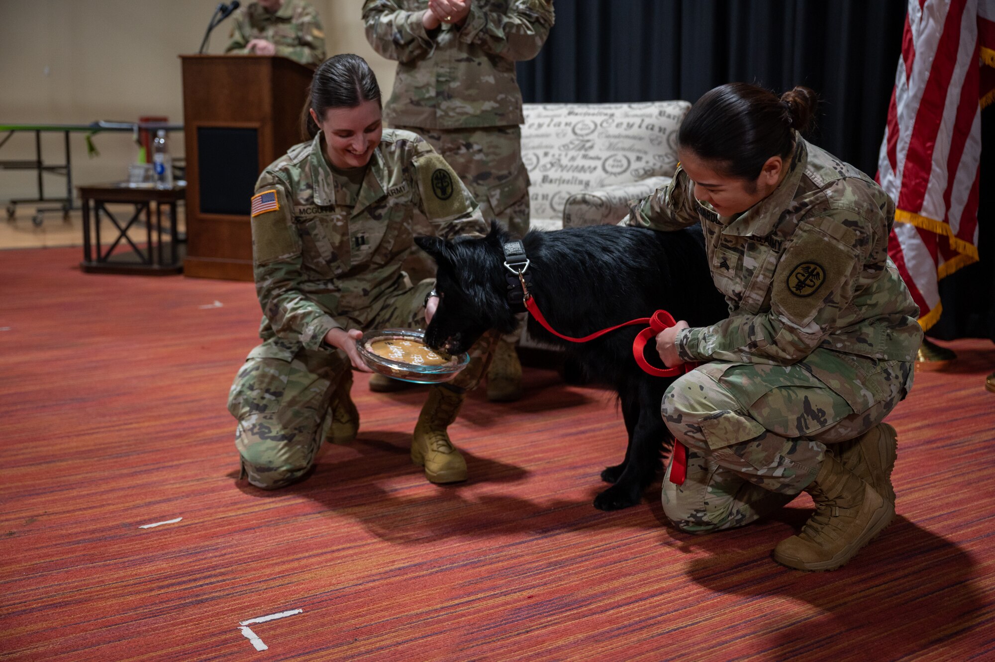 Military Working Dog Cento during his retirement ceremony at Misawa Air Base, Japan, March 6, 2023. Cento served for eight years patrolling the installation, detecting explosives as well as controlled substances, and performing intrusion detection. (U.S. Air Force photo by Staff Sgt. Caroline Parks)