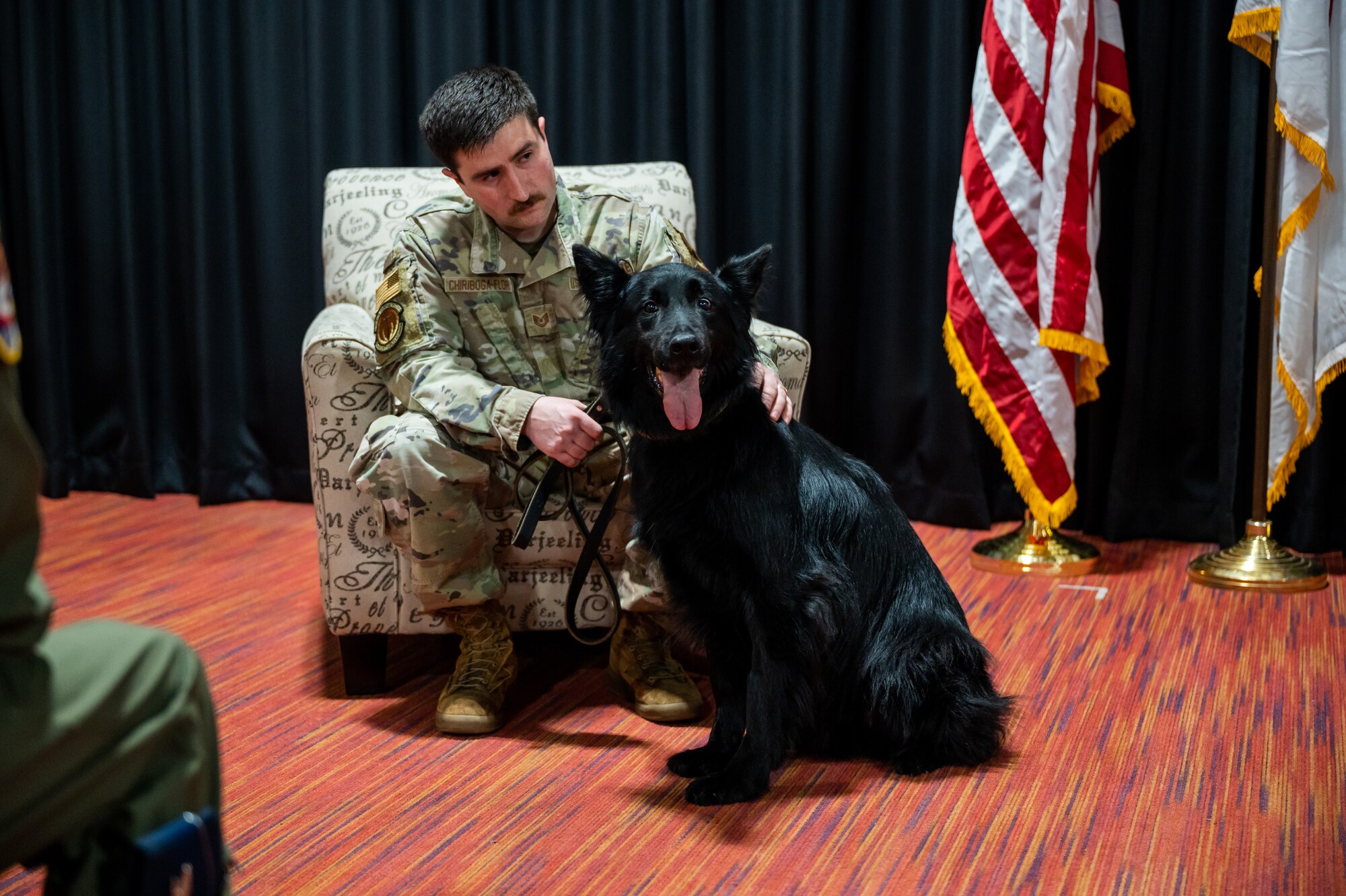 Military Working Dog Cento during his retirement ceremony at Misawa Air Base, Japan, March 6, 2023. Cento served for eight years patrolling the installation, detecting explosives as well as controlled substances, and performing intrusion detection. (U.S. Air Force photo by Staff Sgt. Caroline Parks)