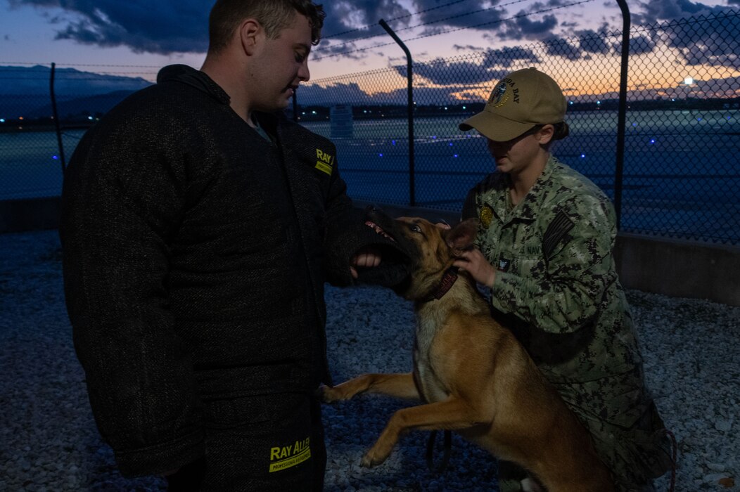 NAVAL SUPPORT ACTIVITY SOUDA BAY, Greece (Feb. 1, 2023) Master-at-Arms 3rd Class Trace Jordan and Master-at-Arms 2nd Class Kaile Oyler, assigned to Naval Support Activity (NSA) Souda Bay, train Military Working Dog Drake during a Semiannual Regional Assessment onboard NSA Souda Bay on Feb. 1, 2023. NSA Souda Bay is an operational ashore installation which enables and supports U.S., Allied, Coalition, and Partner nation forces to preserve security and stability in the European, African, and Central Command areas of responsibility. (U.S. Navy photo by Mass Communication Specialist 2nd Class Delaney S. Jensen/Released)