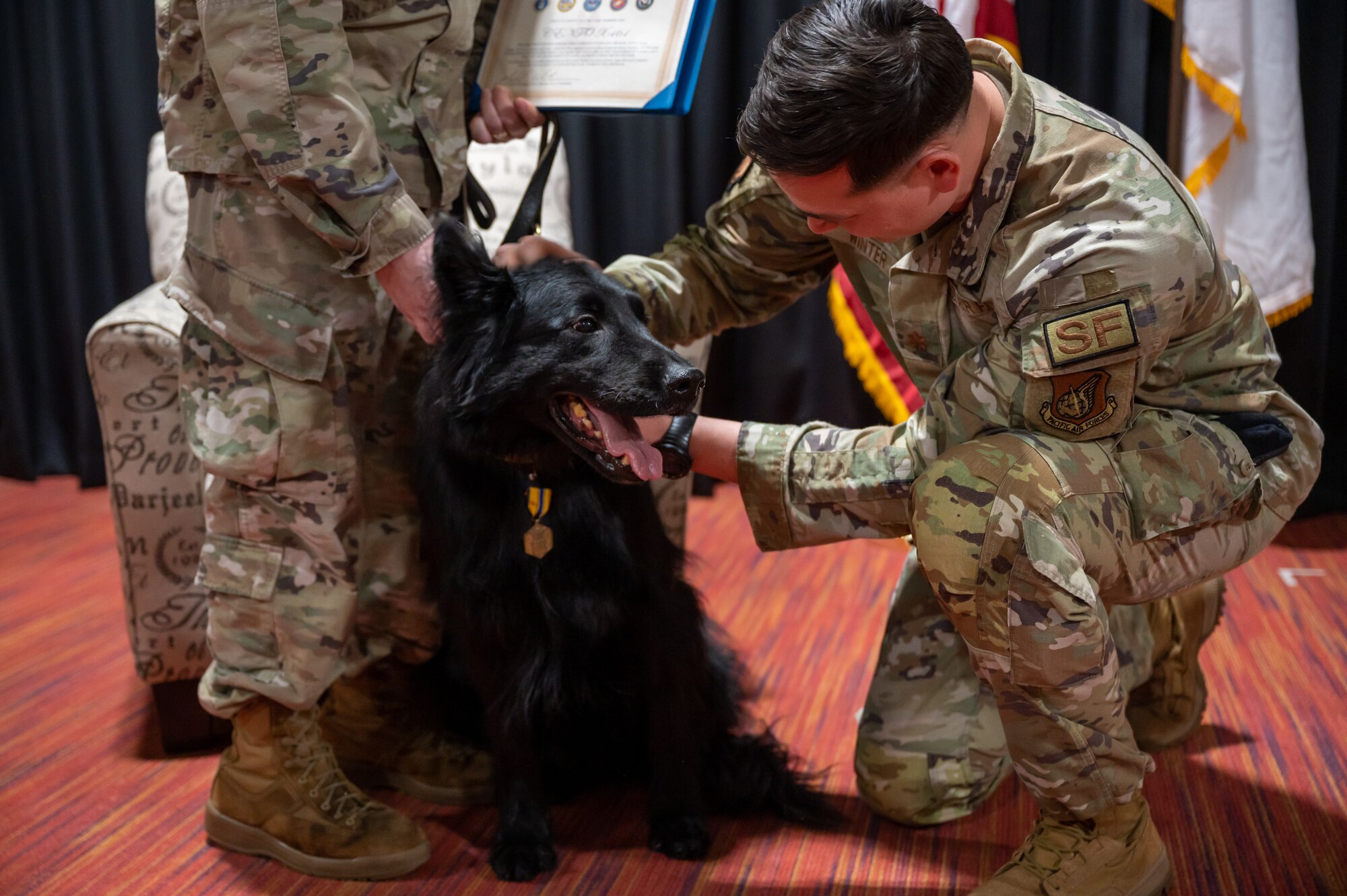 Military Working Dog Cento during his retirement ceremony at Misawa Air Base, Japan, March 6, 2023. Cento served for eight years patrolling the installation, detecting explosives as well as controlled substances, and performing intrusion detection. (U.S. Air Force photo by Staff Sgt. Caroline Parks)