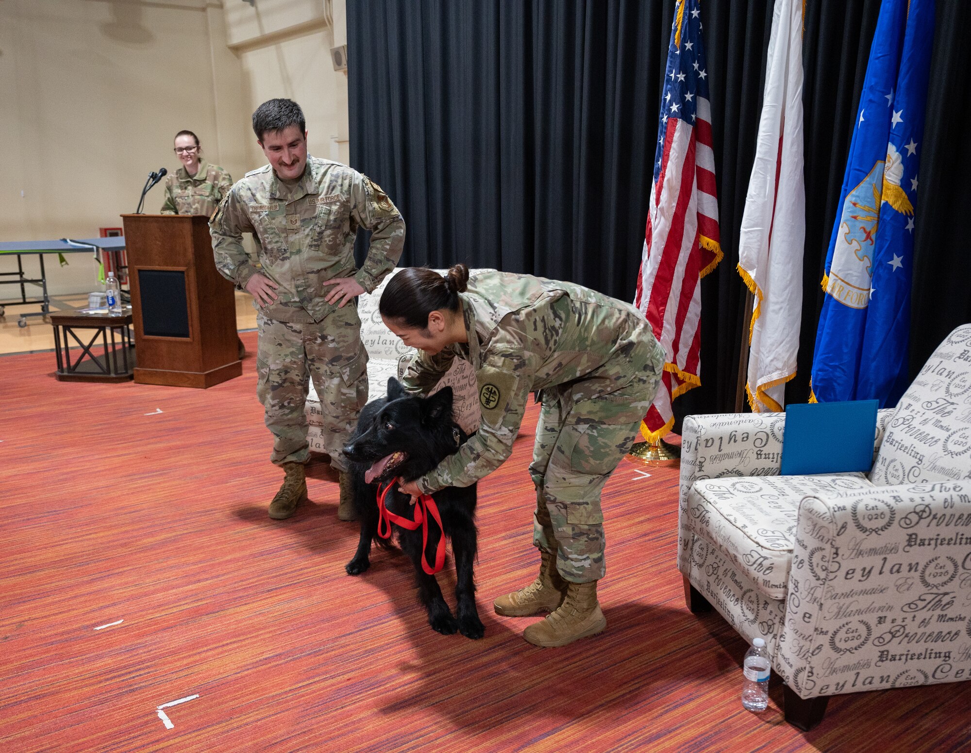 Military Working Dog Cento during his retirement ceremony at Misawa Air Base, Japan, March 6, 2023. Cento served for eight years patrolling the installation, detecting explosives as well as controlled substances, and performing intrusion detection. (U.S. Air Force photo by Staff Sgt. Caroline Parks)
