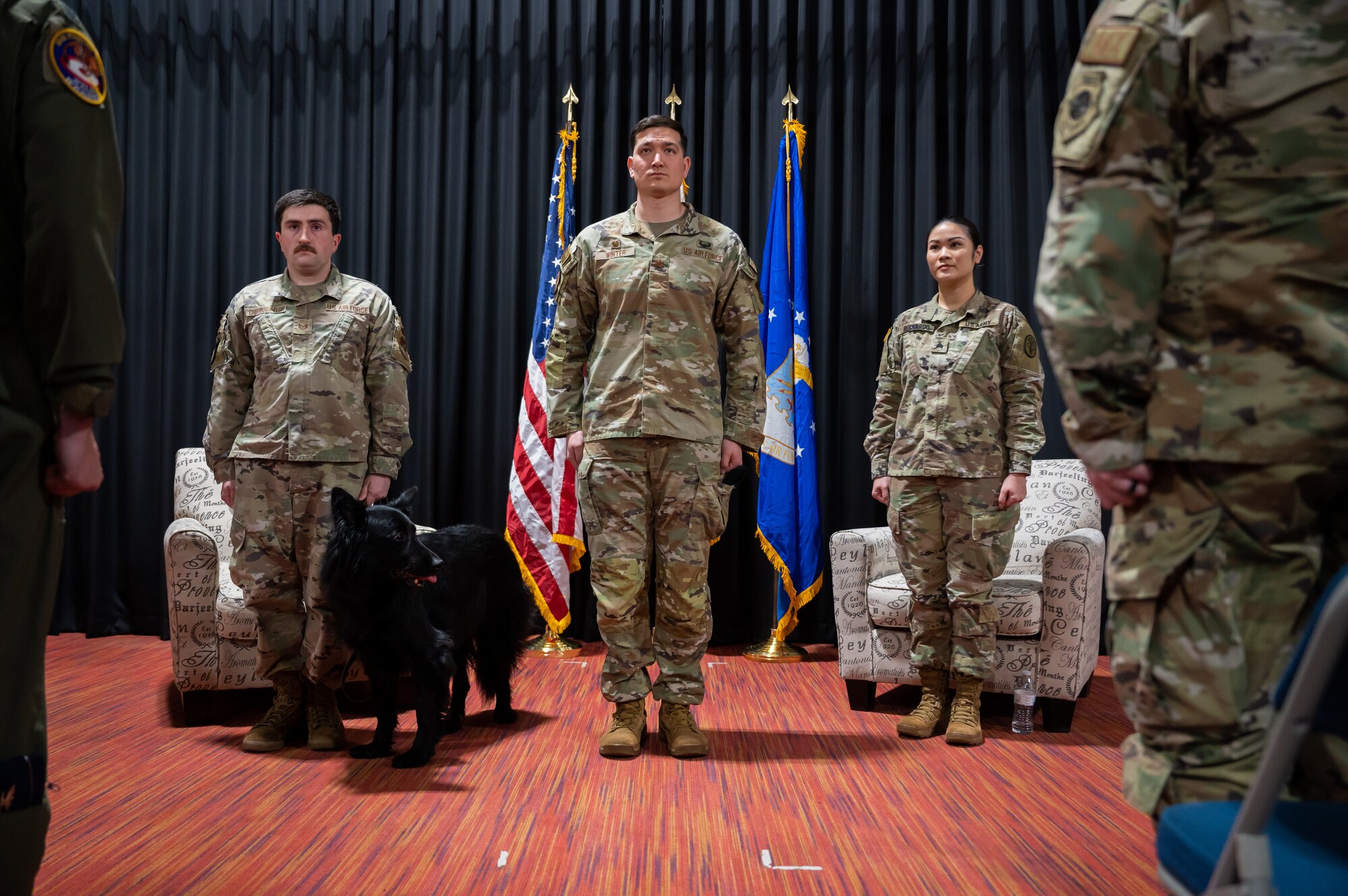 Military Working Dog Cento during his retirement ceremony at Misawa Air Base, Japan, March 6, 2023. Cento served for eight years patrolling the installation, detecting explosives as well as controlled substances, and performing intrusion detection. (U.S. Air Force photo by Staff Sgt. Caroline Parks)