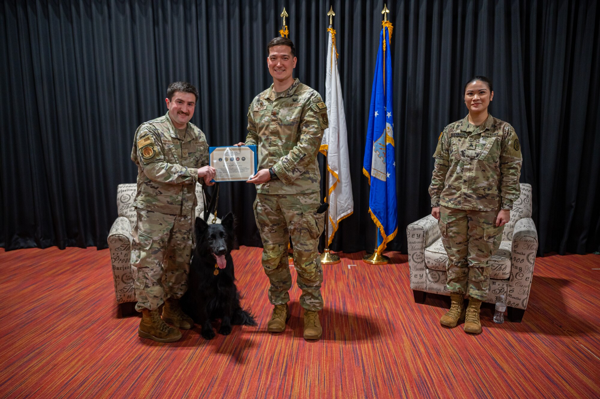 Military Working Dog Cento during his retirement ceremony at Misawa Air Base, Japan, March 6, 2023. Cento served for eight years patrolling the installation, detecting explosives as well as controlled substances, and performing intrusion detection. (U.S. Air Force photo by Staff Sgt. Caroline Parks)