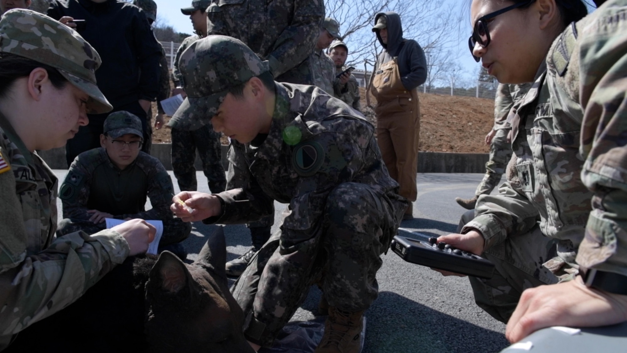Republic of Korea Army soldiers train on TCCC alongside U.S. Army soldiers from the 106th Medical Detachment, Veterinary Service Support unit at Nonsan, ROK, Mar. 14, 2023. Throughout a training event called Operation Dragon Alliance, they engaged in hands-on military working dog TCCC training with the help of a "diesel dog" - a full-body simulator for MWD handlers and veterinarians. (U.S. Air Force photo by Tech. Sgt. Timothy Dischinat)