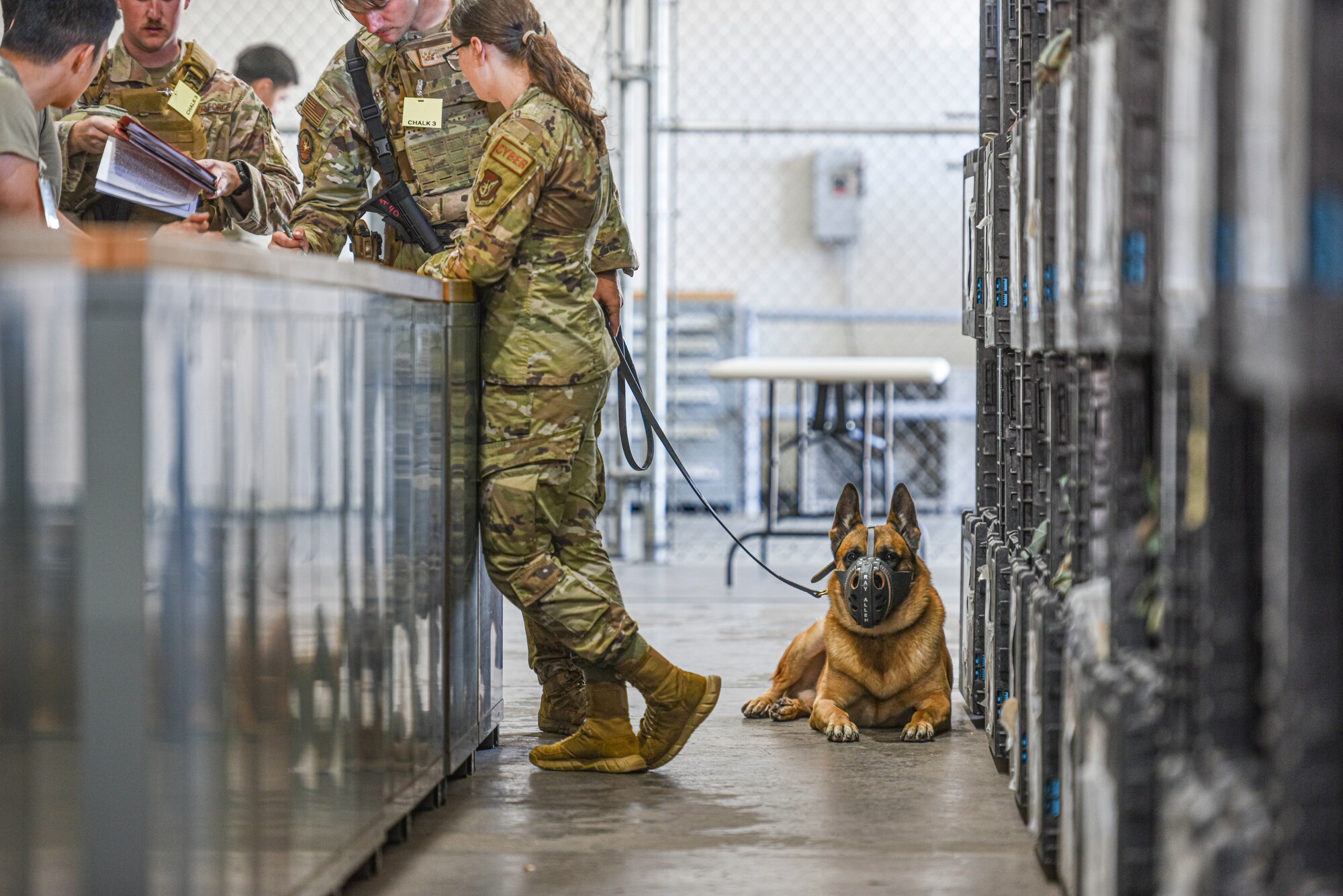 Military working dog Maci, and U.S. Air Force Staff Sgt. Eron Holmes, 647th Security Forces Squadron military working dog  handler, await deployment gear at Joint Base Pearl Harbor-Hickam, Hawaii, during the Joint Base Readiness Exercise, Feb. 28, 2023. The 15th Wing trains to operate, fight and advance its capabilities through realistic training exercises designed to test and develop joint logistics, resilience and rapid, strategic mobility. (U.S. Air Force photo by Tech. Sgt. Anthony Nelson Jr.)