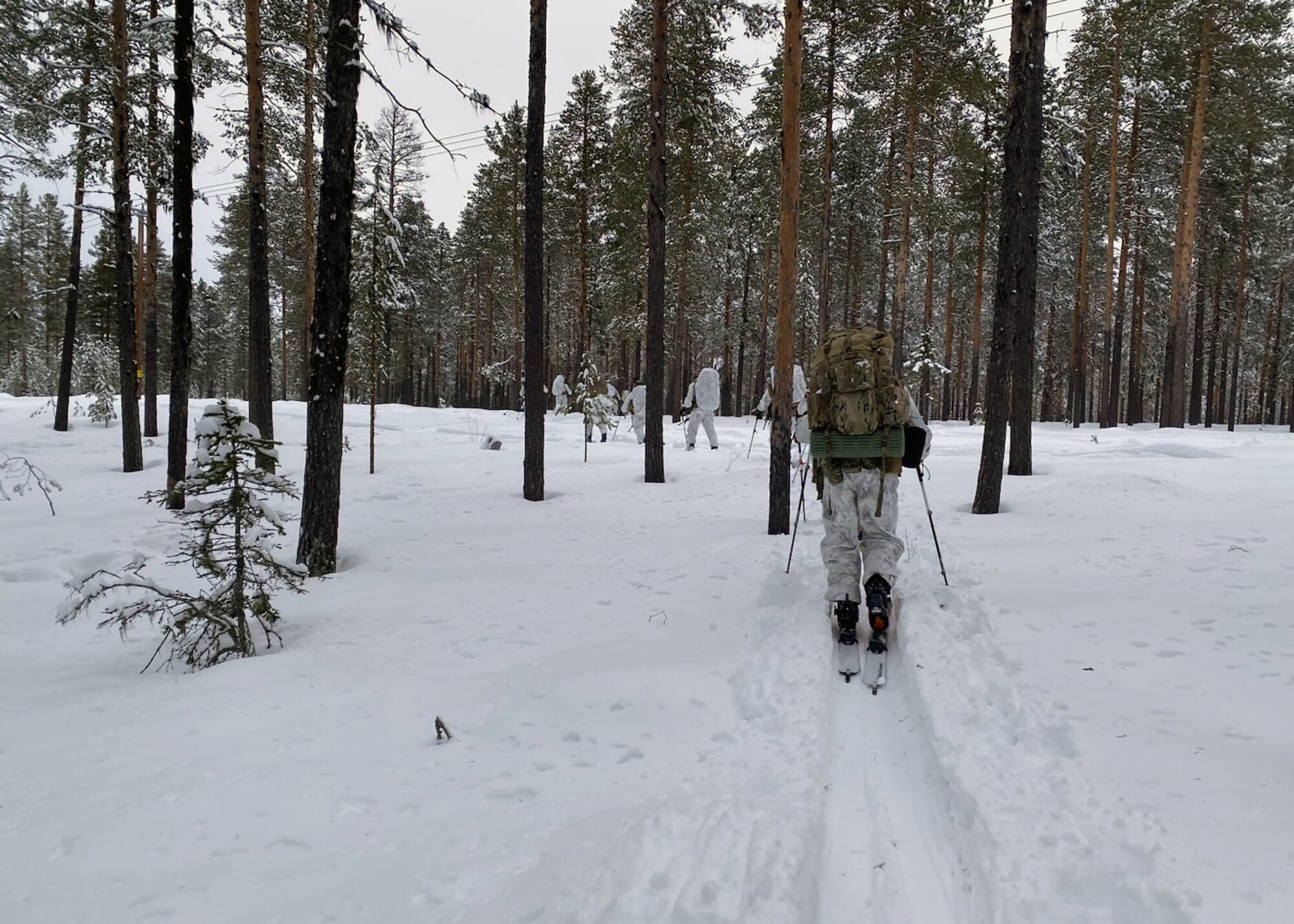U.S Airmen assigned to the 57th Rescue Squadron teamed with Swedish Air Force Rangers to execute an integrated Arctic Partnership Recovery exercise