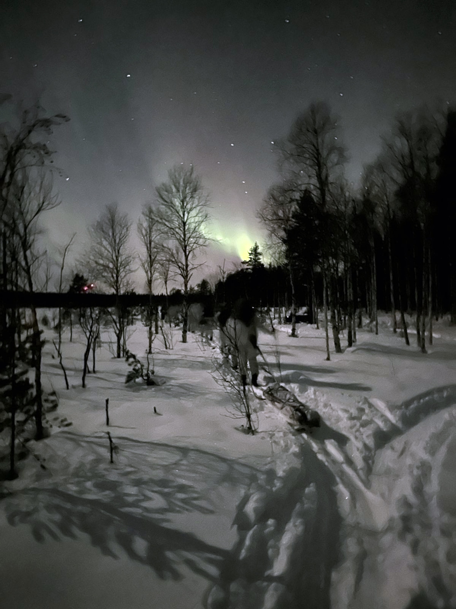 U.S Airmen assigned to the 57th Rescue Squadron teamed with Swedish Air Force Rangers to execute an integrated Arctic Partnership Recovery exercise