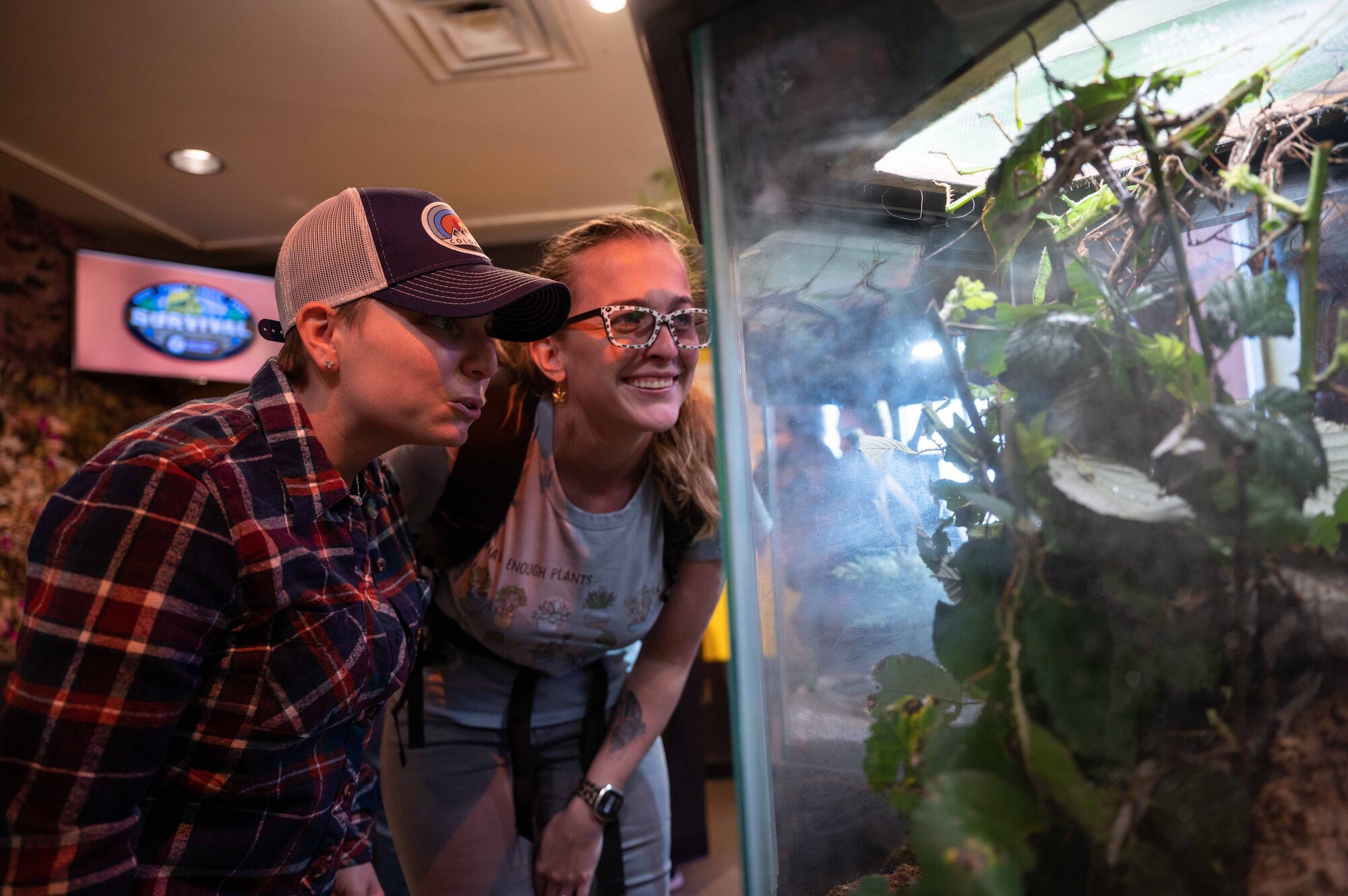 Airmen look into an insect tank at a butterfly pavilion