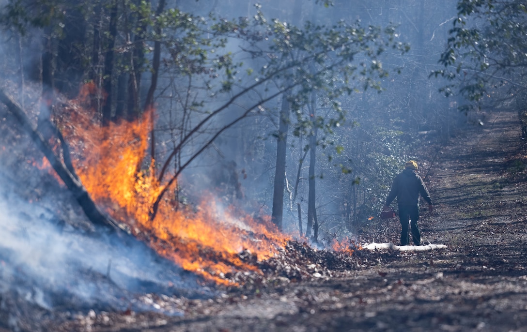 Quantico Fire & Emergency Services and Natural Resources Environmental Affairs (NREA) conduct controlled burns at Marine Corps Base Quantico, Virginia, March 9, 2023. According to the NREA, the purpose of the burns is to reduce fuel litter, minimize the potential of wildfires, and promote wildlife habitat. Fuel litter is dead and trodden woody debris that could be used as fuel for wildfires or other potential hazards.