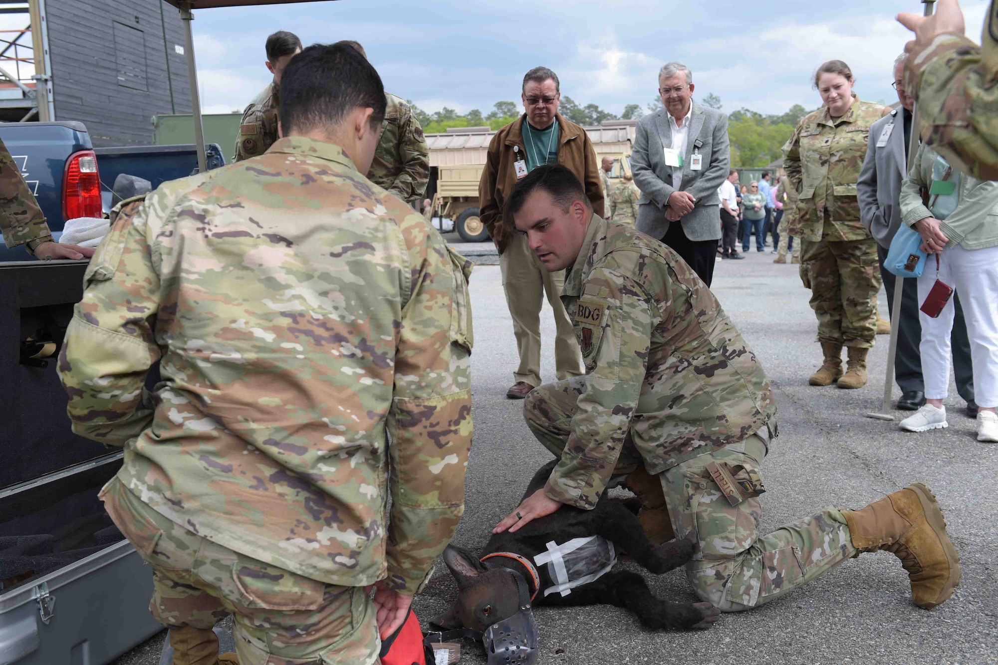 A photo of an Airman helping a dog.