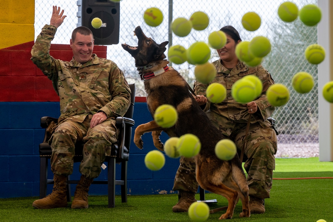 Airmen throw tennis balls in the air and a dog jumps to catch them.