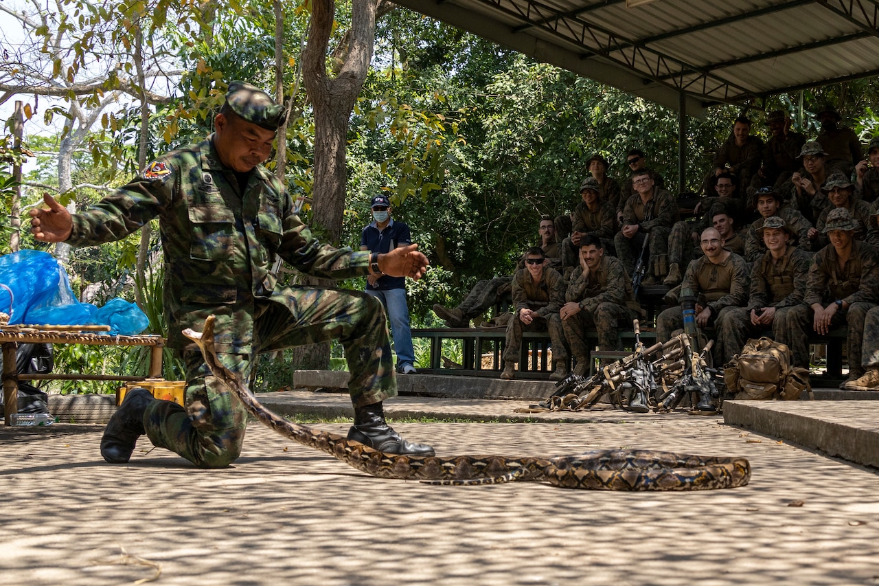 A Marine kneels on the ground with a snake next to him.