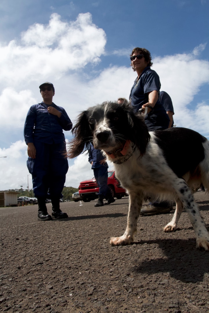 Coast Guard and County of Kauai agency personnel successfully completed a search and rescue exercise (SAREX) off Kauai’s coast, Thursday.

The exercise simulated a multi-agency response to the report of an overdue fishing vessel that failed to return to shore.