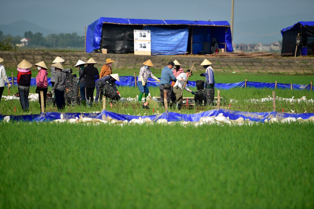 A group of people work in a large field.