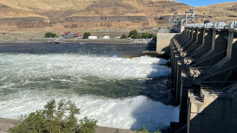 Lower Monumental Dam spills water to benefit juvenile salmon, July 12, 2022. This year, federal water managers will spill hundreds of thousands of gallons of water over spillways instead of through turbines during annual “spring spill” operations at U.S. Army Corps of Engineers’ dams on the lower Snake and Columbia rivers. 

The operations start April 3 on the lower Snake River and April 10 on the lower Columbia River. These actions are intended to decrease the time it takes juvenile salmon and steelhead to move through the system of dams to the Pacific Ocean as well as provide a non-turbine passage route past the dams.