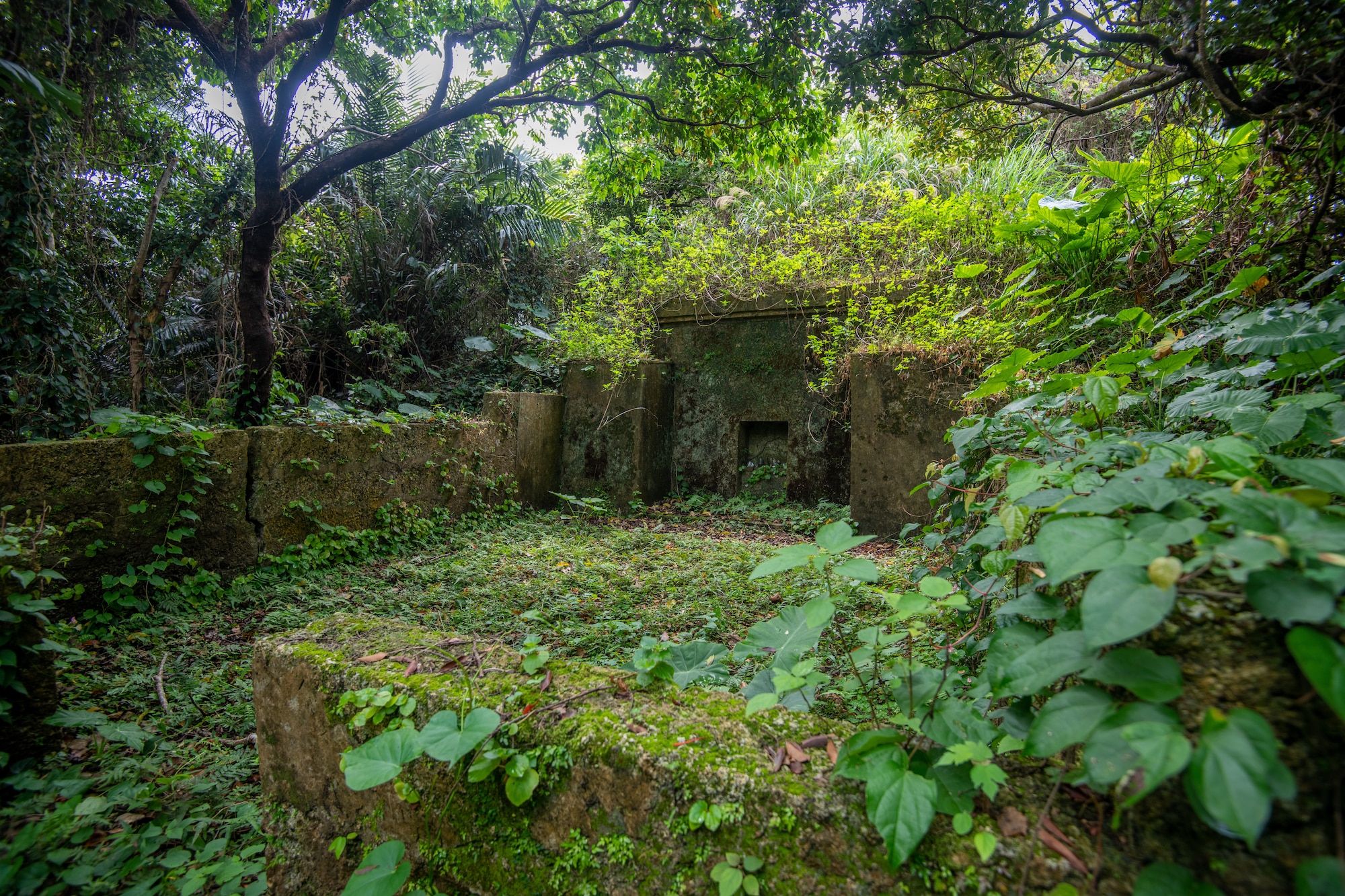 A yet-to-be-cleaned, ancestral Okinawan tomb.