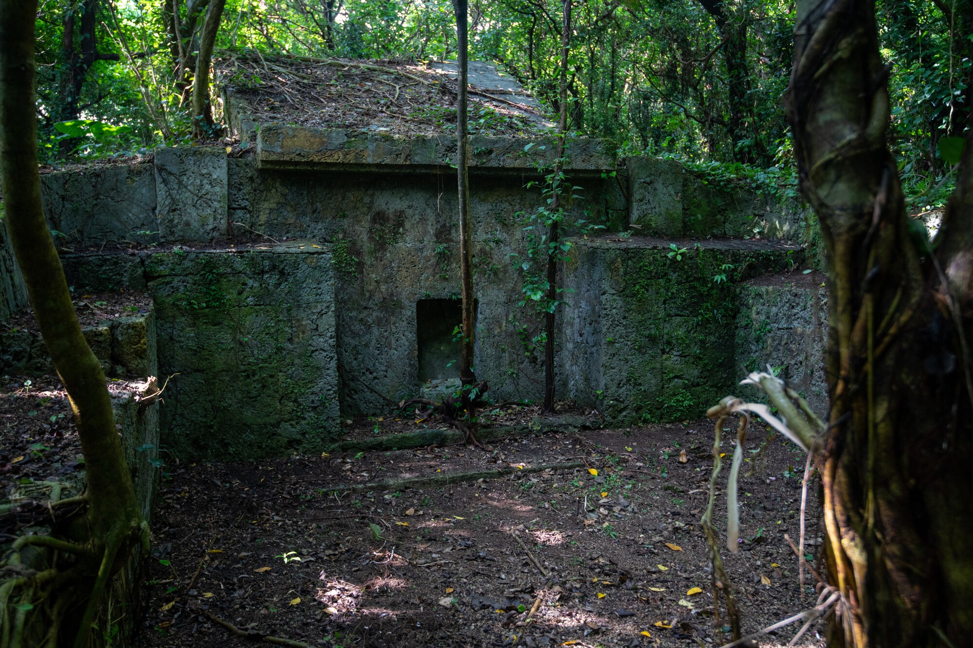 Okinawan ancestral tomb prepared for Shimi.