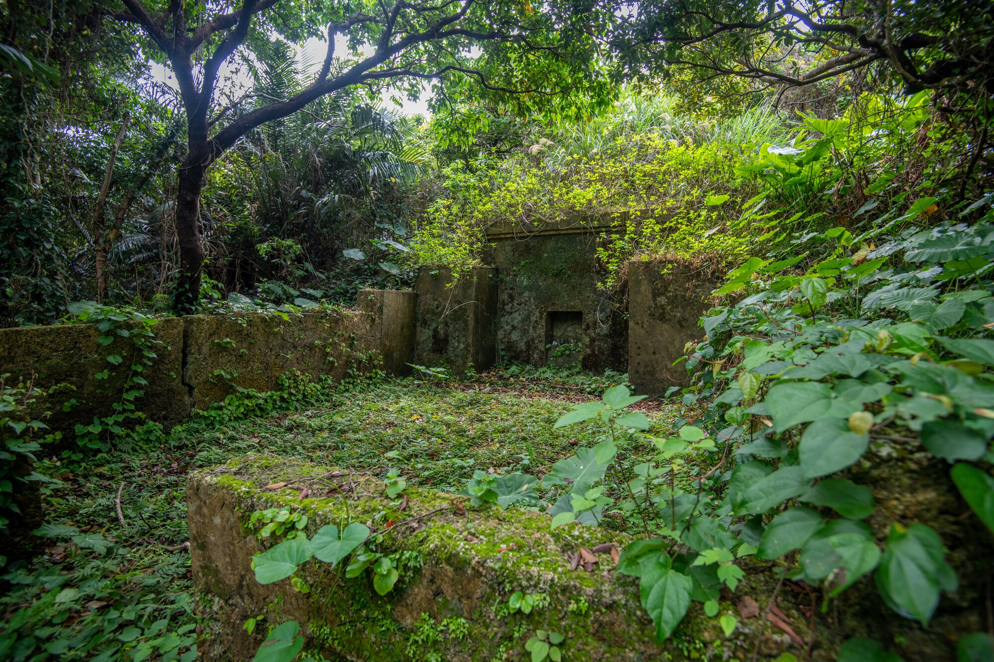 A yet-to-be-cleaned, ancestral Okinawan tomb.