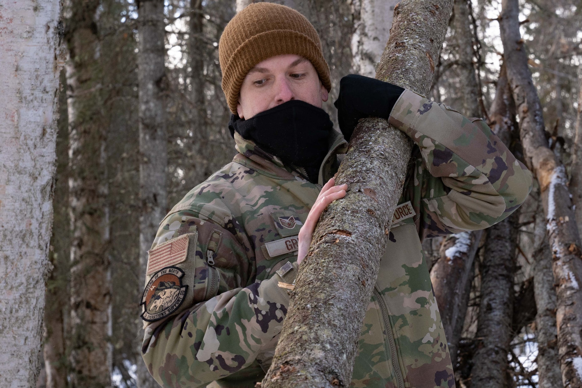 Person builds shelter