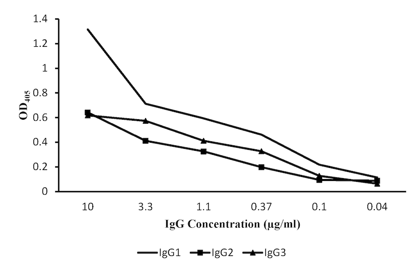 A graph of the binding response of IgG isolated from an immune alpaca to Y. pestis YscF (ELISA).