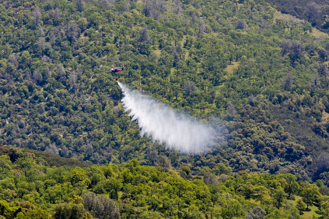 A helicopter dumps water from a bucket over a forest.