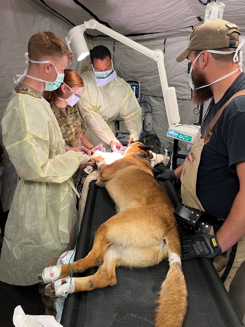 Fort Hood veterinary team ‘deploys’ to JBSA