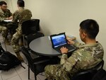 Airman using a computer to access a website