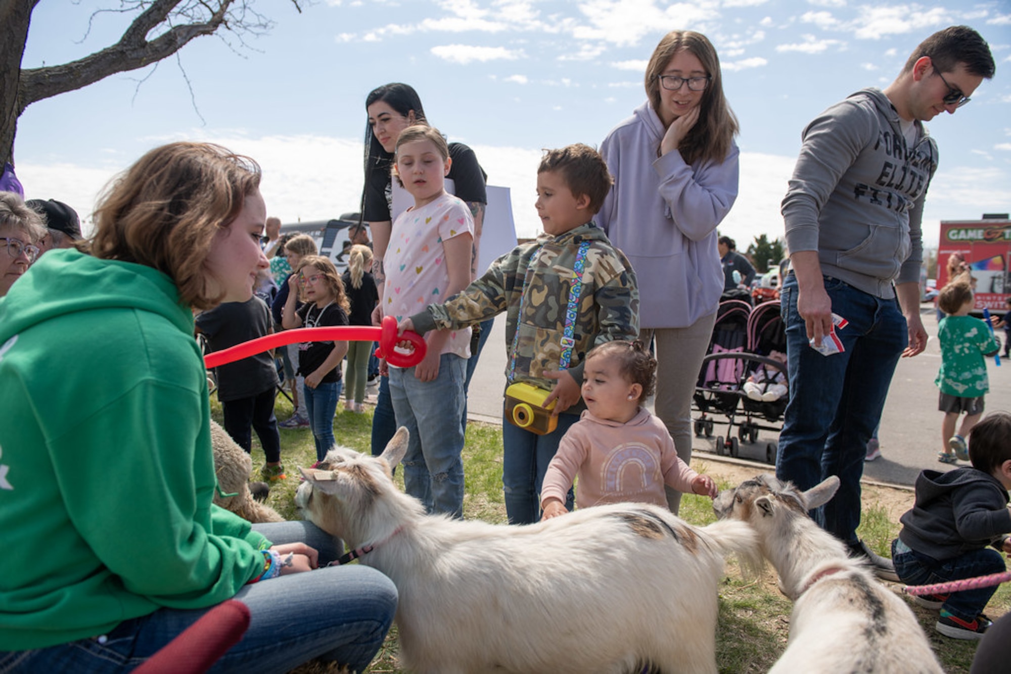 Kids and adults watch and pet goats