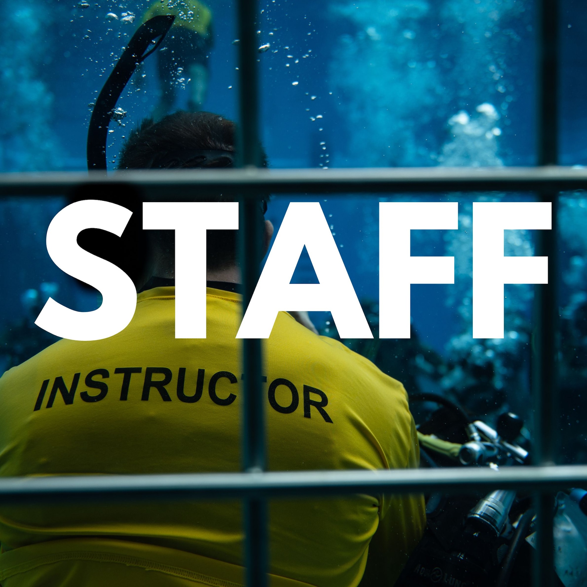 instructor gives underwater instructions to dive students