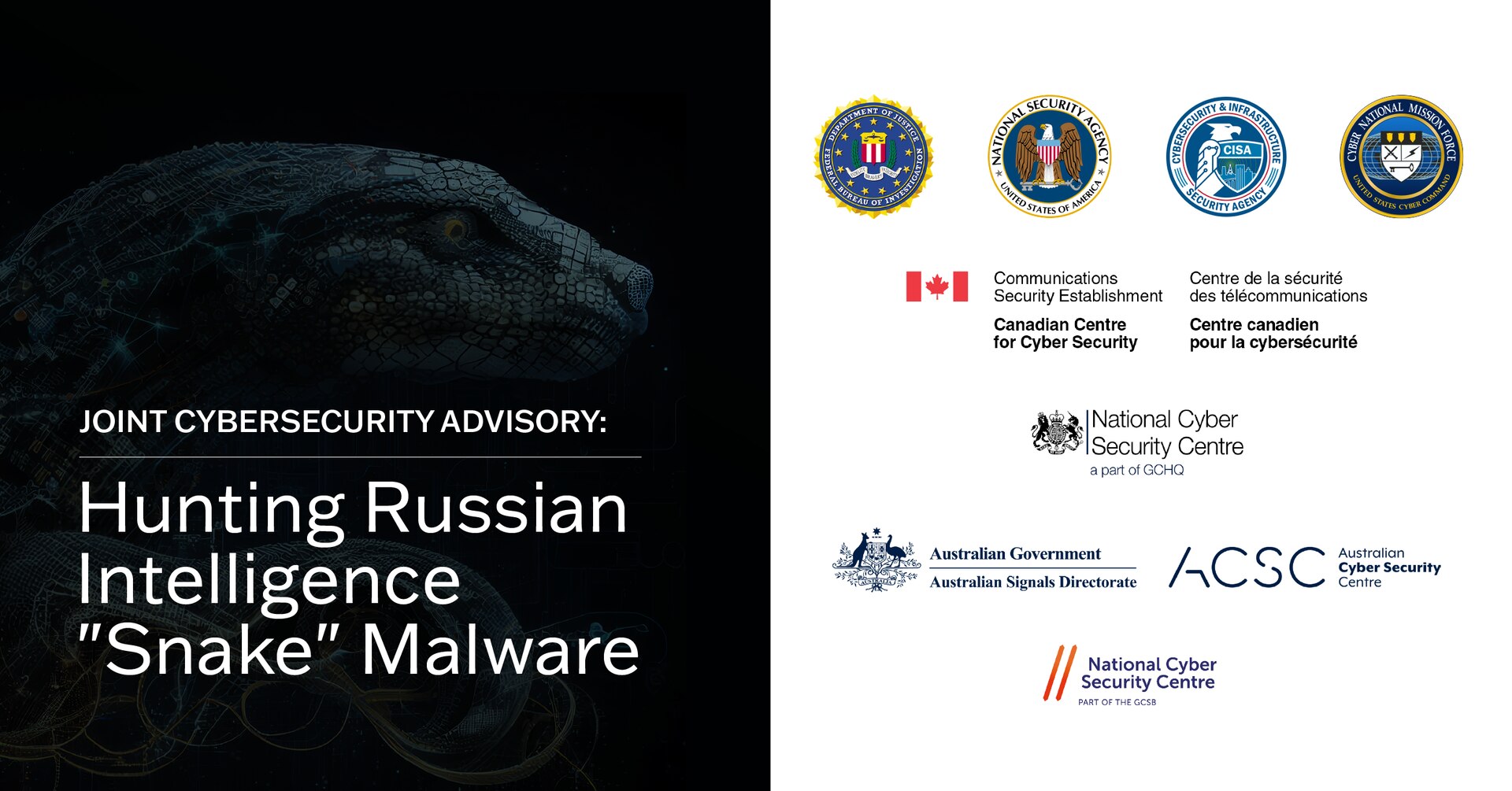 Snake Malware