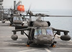 Two U.S. Army UH-60M Black Hawk helicopters assigned to the New York Army National Guard's 3rd Battalion, 142nd Aviation Regiment, Assault Helicopter Battalion, attached to the 36th Combat Aviation Brigade, conduct deck landings on the USS Lewis B. Puller in the Persian Gulf Nov. 10, 2022. The battalion deployed to Kuwait in support of Operation Spartan Shield as a component of the 36th Combat Aviation Brigade of the Texas Army National Guard.