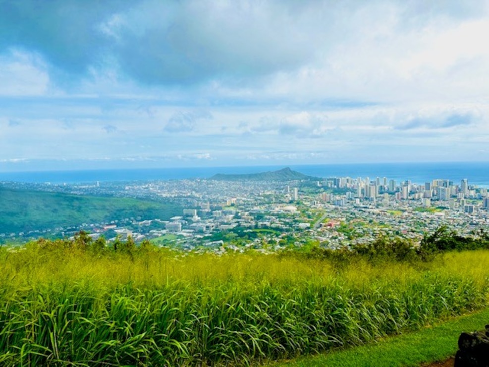 Ths city of Honolulu is in the distance. The picture was taken from an area above the city with green grass and lush green plant life growing in the foreground. The sky is partly cloudy.