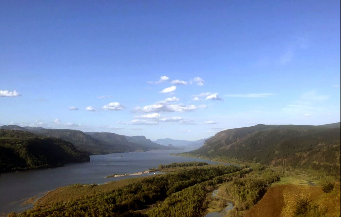 Lush greenery of the treelined foothills along the Columbia River bisect a near cloudless blue sky from the curves of the Columbia River gorge. The scrub along the floodplain is a lighter green where the sunlight shines brighter on the vegetation. In the distance, the horizon begins to gray as the river curves and the foothills appear to close the gap along the river's curves.