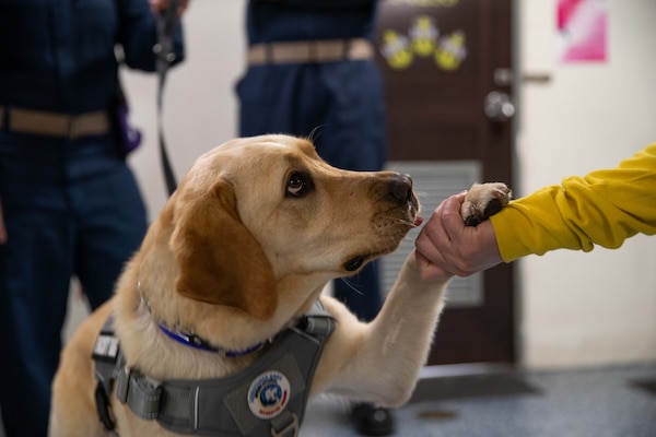 Dog holds hand with Sailor