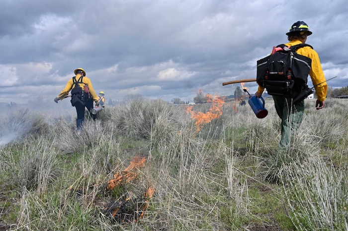 wildland fire fighters