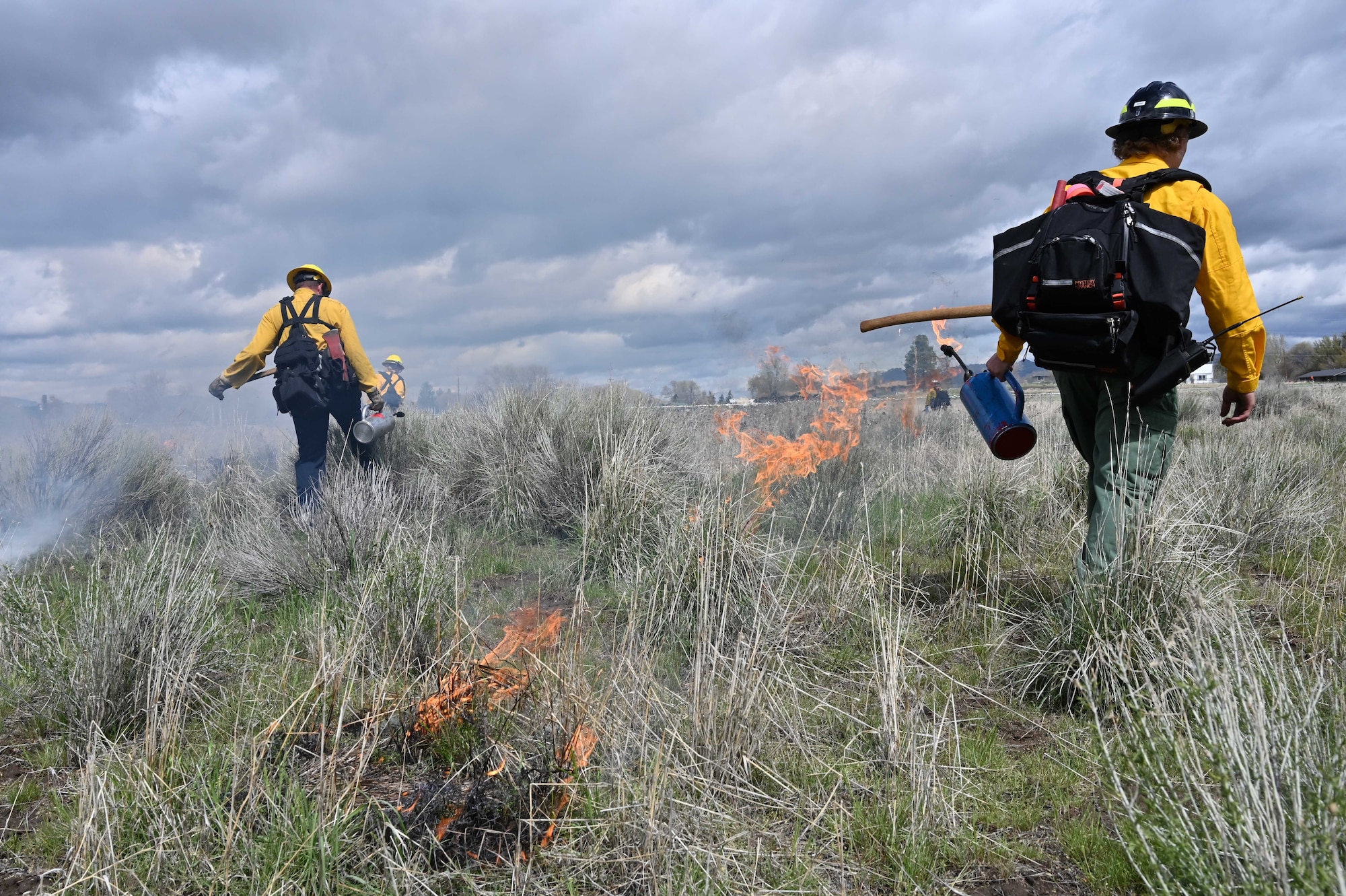 wildland fire fighters