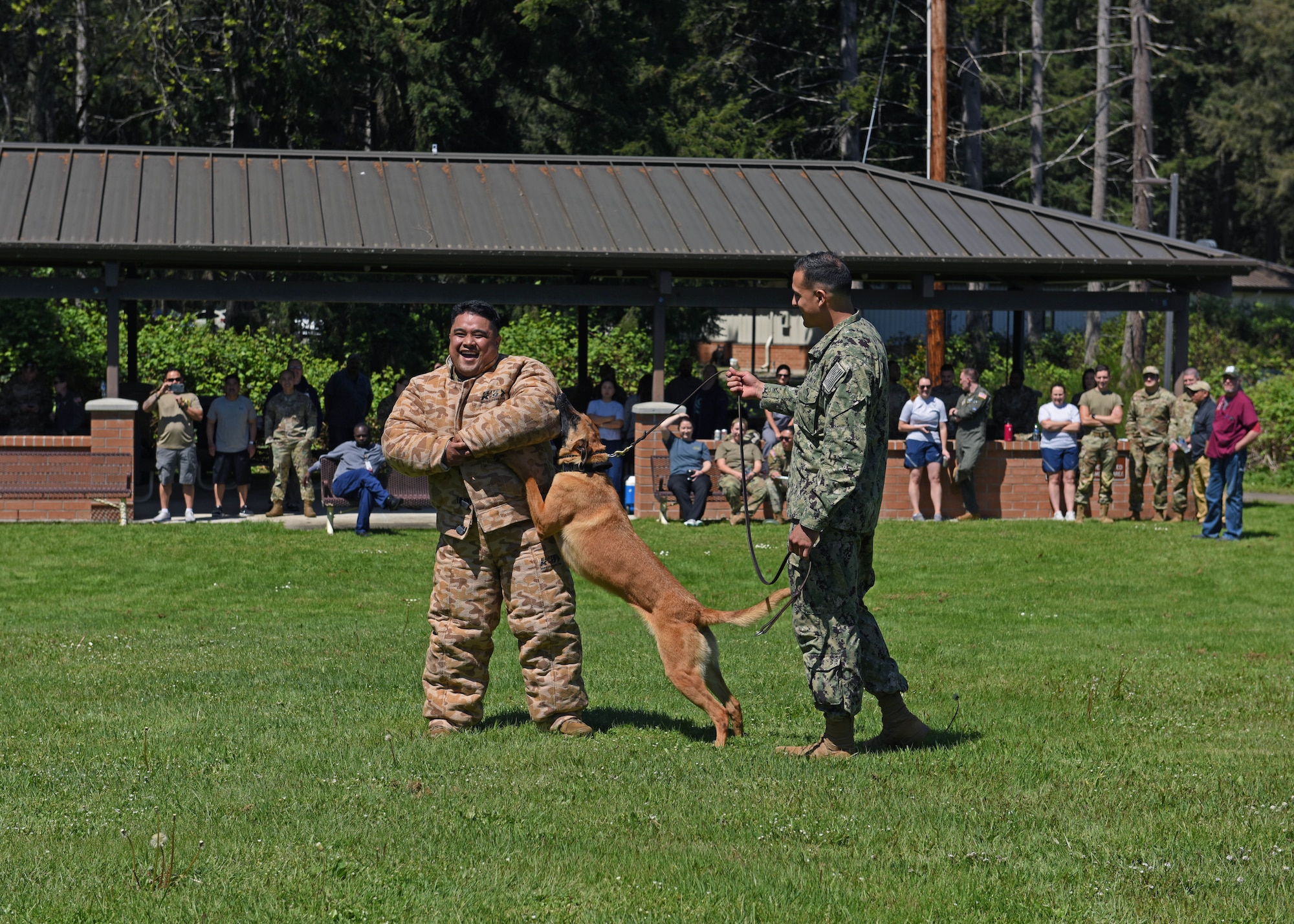 A U.S. Air Force Airman with the 62d Medical Squadron participates in a Naval Base Kitsap Security Department K9 demonstration hosted during Nurse-Technician Appreciation Week at Joint Base Lewis-McChord, Washington, May 10, 2023. The 62d MDS held several events spanning the week in appreciation for their nurses and technicians: including the K9 demonstration, raffles and lunches. (U.S. Air Force photo by Staff Sgt. Zoe Thacker)