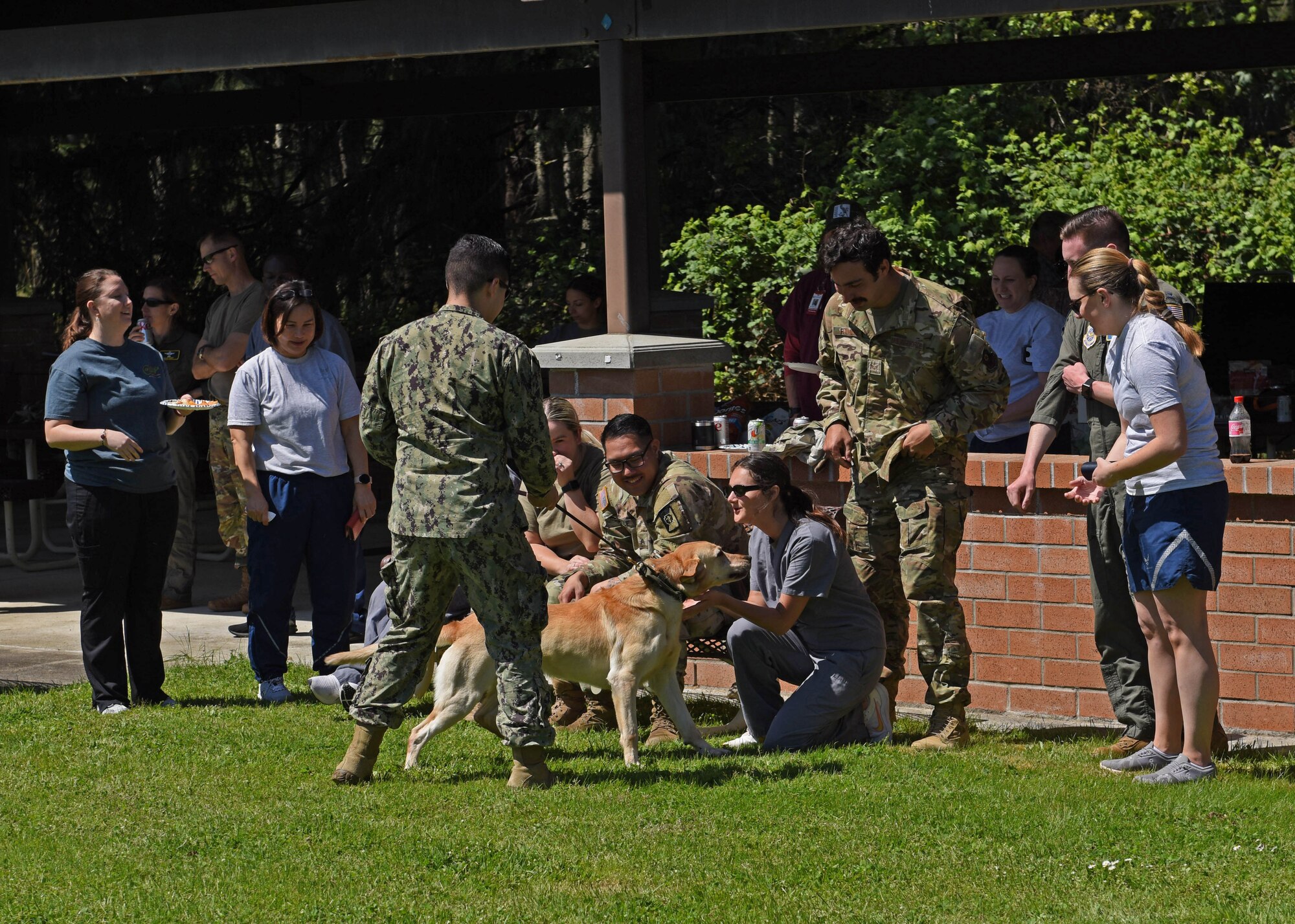 U.S. Air Force Airmen with the 62d Medical Squadron pet a military working dog during a K9 demonstration by the Naval Base Kitsap Security Department during Nurse-Tech Appreciation Week at Joint Base Lewis-McChord, Washington, May 10, 2023. The week’s purpose is to spotlight how nurses and medical technicians, whether uniformed, civilians, or contractors, exemplify excellence within the 62d MDS by providing quality healthcare services to promote fit, resilient, ready forces, while developing and strengthening their medics to sustain future medical capabilities. (U.S. Air Force photo by Staff Sgt. Zoe Thacker)