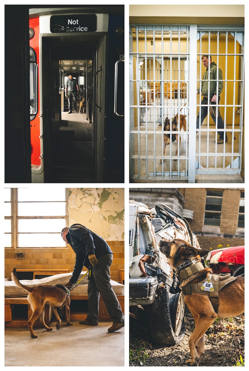 (Top Left) Staff Sgt. Zackery Leist, 88th Security Forces Squadron military working dog handler, and MWD Bulit perform detection training May 2 in a “subway car” on Muscatatuck Urban Training Center, Indiana. (Bottom Left) Staff Sgt. Zachery Leist, 88th Security Forces Squadron military working dog handler, and MWD Bulit perform detection training May 3 in a “hospital” on Muscatatuck Urban Training Center, Indiana. (Top Right) Staff Sgt. Zackery Leist, 88th Security Forces Squadron military working dog handler and MWD Bulit, perform detection training May 2 in a “prison” on Muscatatuck Urban Training Center, Indiana. (Bottom Right)  Bulit, 88th Security Forces Squadron military working dog, sniffs for potential threats during his detection training May 3 on Muscatatuck Urban Training Center, Indiana.