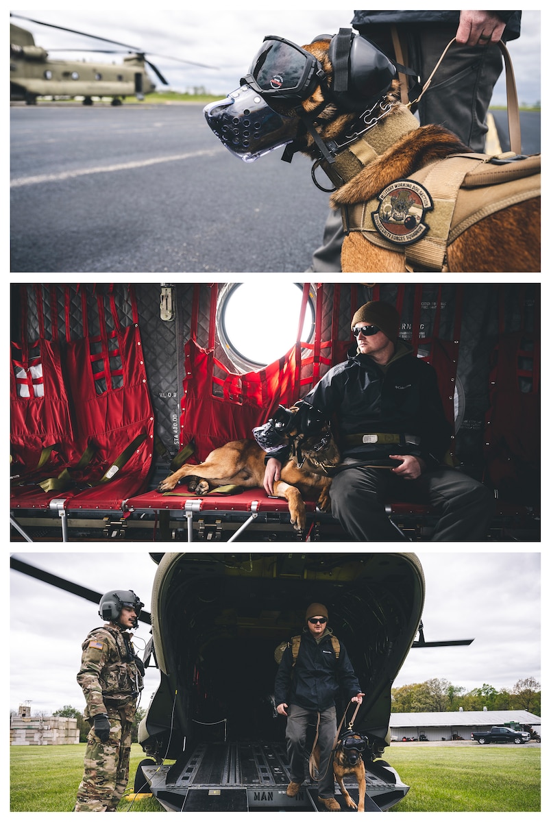(Top) Bulit, 88th Security Forces Squadron military working dog, waits outside of a CH-47 Chinook helicopter May 2 on Camp Atterbury, Indiana. (Middle) Staff Sgt. Zackery Leist, 88th Security Forces Squadron military working dog handler, and MWD Bulit travel in a CH-47 Chinook helicopter May 2 to Muscatatuck Urban Training Center, Indiana. (Bottom) Staff Sgt. Zackery Leist, 88th Security Forces Squadron military working dog handler, and MWD Bulit exit a CH-47 Chinook helicopter May 2 on Muscatatuck Urban Training Center, Indiana.