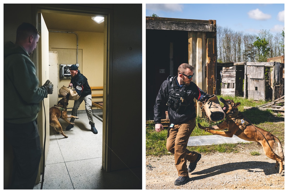 (Left) Staff Sgt. Zackery Leist, 88th Security Forces Squadron military working dog handler, and MWD Bulit perform pursuit and attack training with Matthew Maille, Guardian Response 23 master scenario event manager, May 2 in a “damaged building” on Muscatatuck Urban Training Center, Indiana. (Right) Staff Sgt. 88th Security Forces Squadron military working dog handler and MWD Bulit, perform pursuit and attack training with Matthew Maille, Guardian Response 23 master scenario event manager, May 3 on Muscatatuck Urban Training Center, Indiana.
