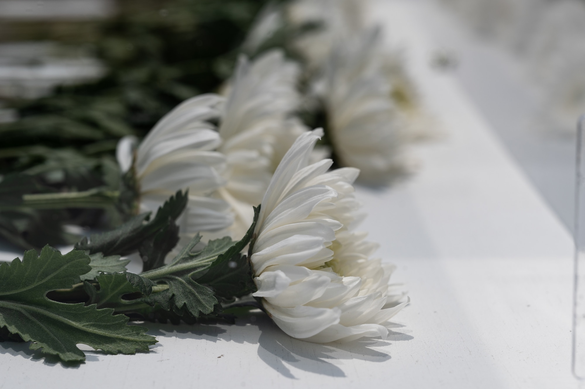 Flowers lay at the Col. Dean Hess monument during the Commemorative Dean Hess Ceremony at Jeju Aerospace Museum, Jeju, Republic of Korea, May 11, 2023.