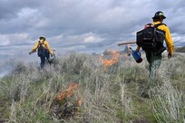 Oregon Department of Forestry firefighters set a controlled blaze May 7, 2023, during training for 173rd Fighter Wing Airmen who will respond to wildland fires if requested by the state of Oregon during high fire season. The training took place near Kingsley Field in Klamath Falls, Ore., and serves to ready Oregon Air Guardsmen to aid the state when wildland fires outpace state resources during hot summer months.