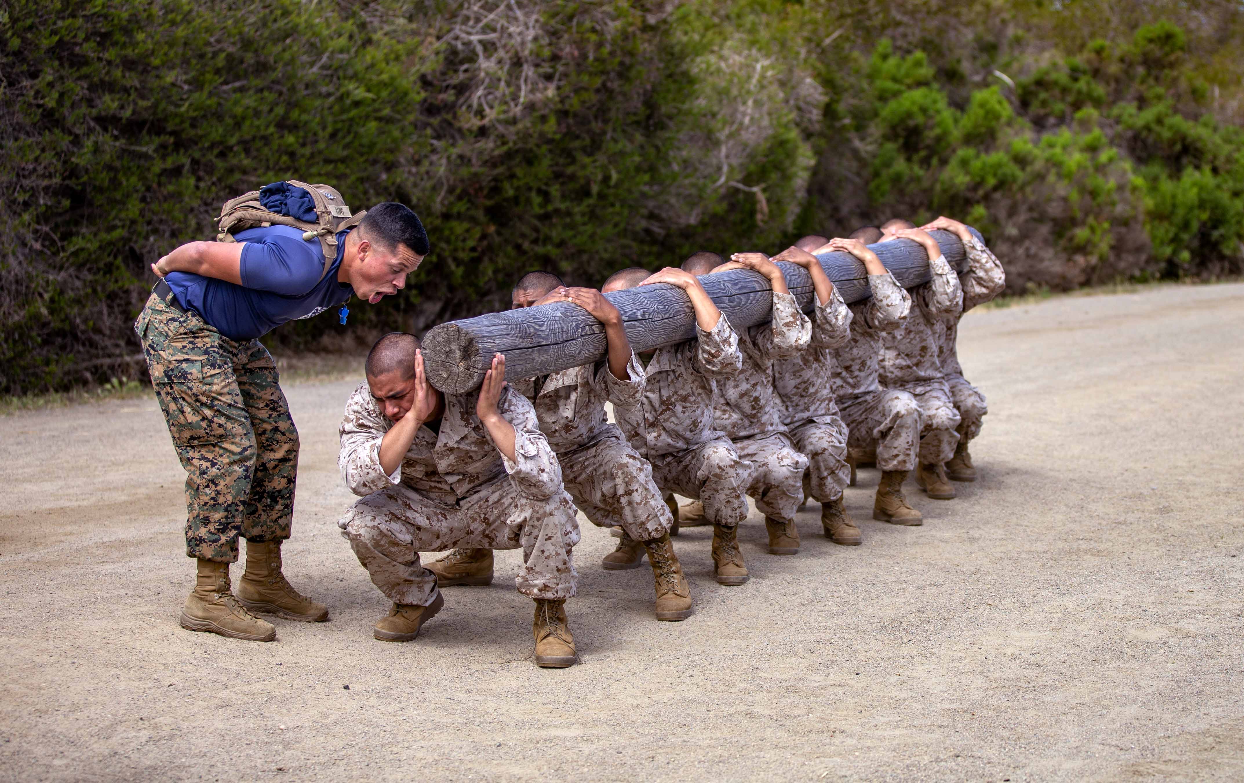 A Us Marine Corps Drill Instructor With India Company 3rd Recruit