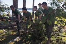 Hurricane Florence Recovery