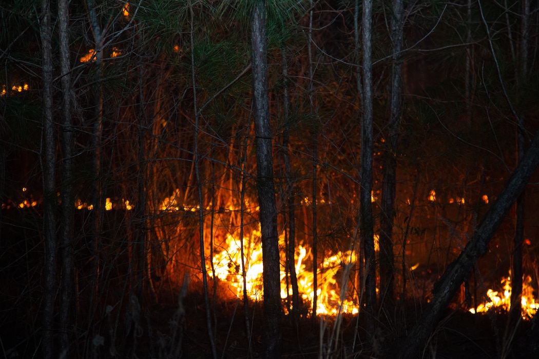 Base firefighters work to contain a brush fire, on Marine Corps Base (MCB) Camp Lejeune, North Carolina, March 7, 2023.