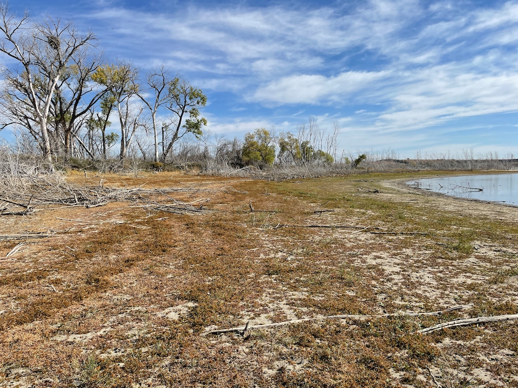 Shoreline can be seen  of Harlan County Lake with trees in the left background and the lake in the right background.