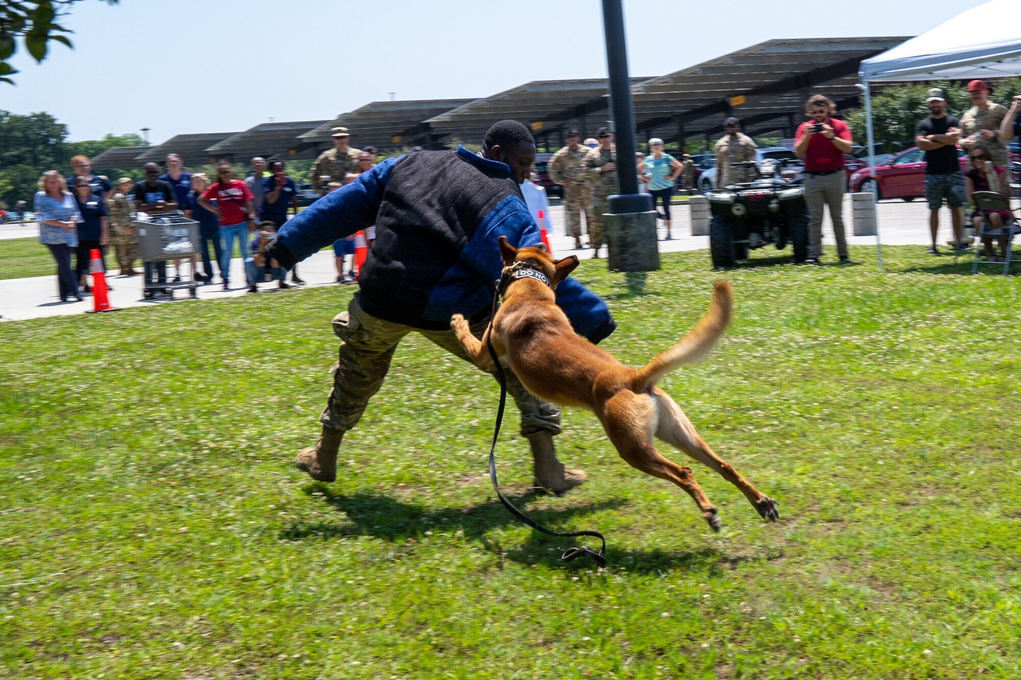 U.S. Air Force Senior Airman Victor Henderson, 81st Security Forces Squadron military working dog handler, demonstrates a takedown with Zzelle, 81 SFS military working dog, during a demonstration for National Police Week at Keesler Air Force Base, Mississippi, May 16, 2023.